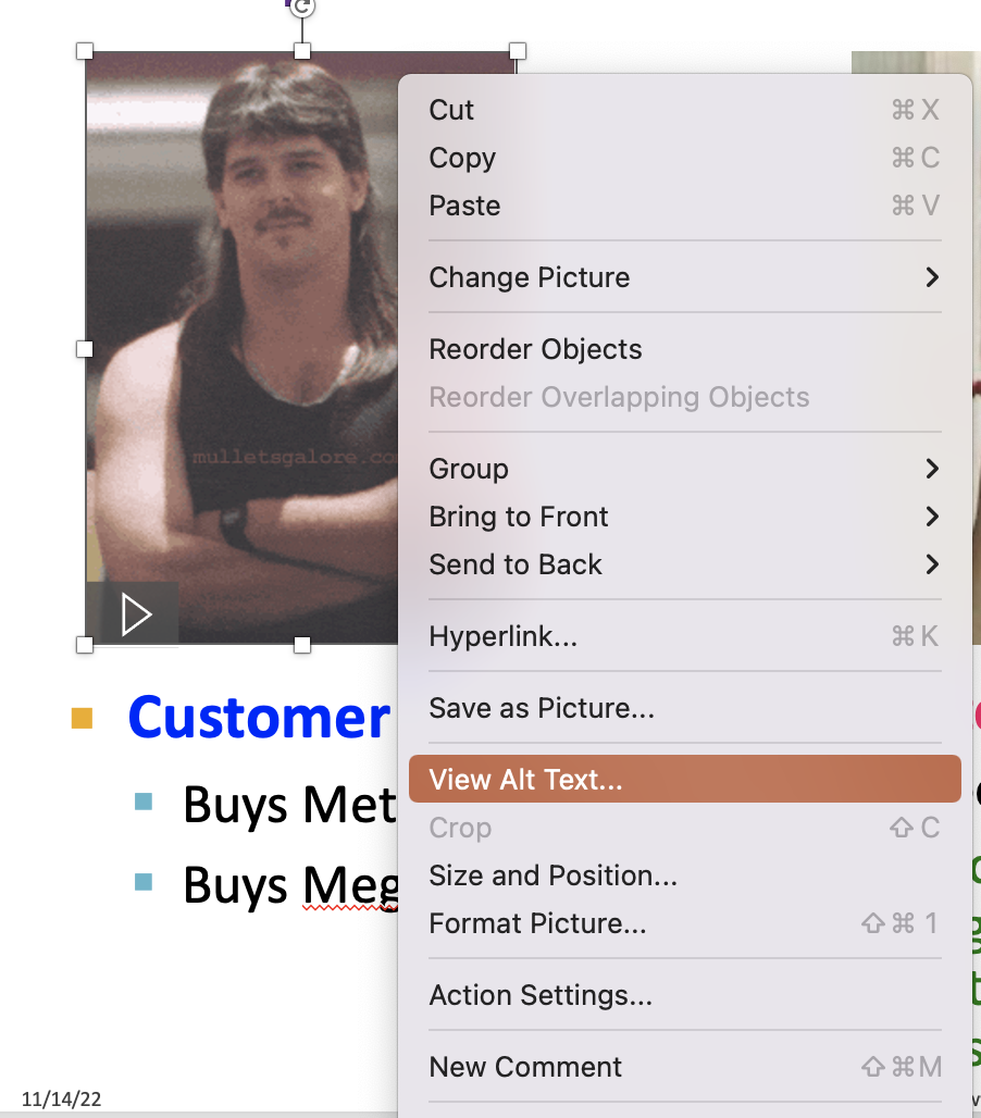 the "View Alt Text" option highlighted context menu after right clicking a picture
